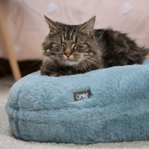 Cat test