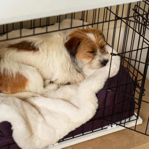 Dog cage blanket online