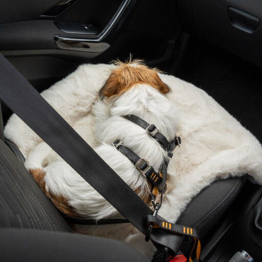 Luxury Faux Sheepskin Dog Blanket Large Omlet