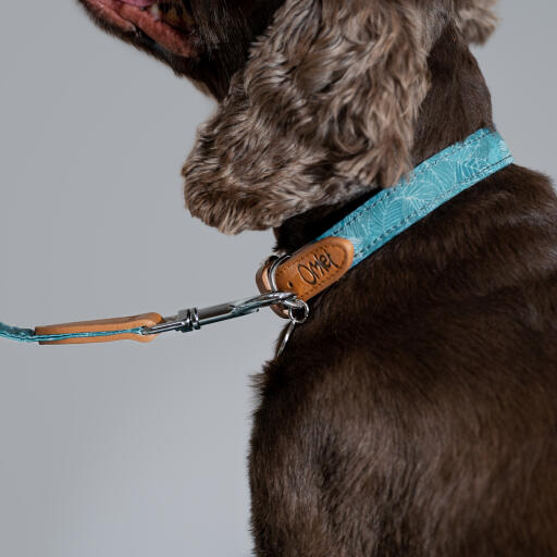 A close up of the collar and lead in the nature trail print