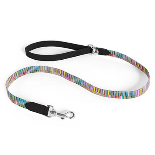Invisible dog collar and leash top