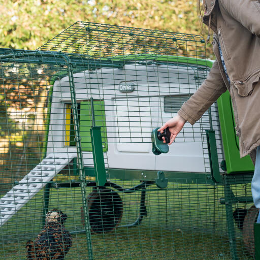 Easy access run door for chicken coops
