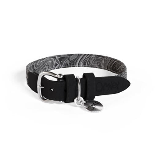 designer dog collars