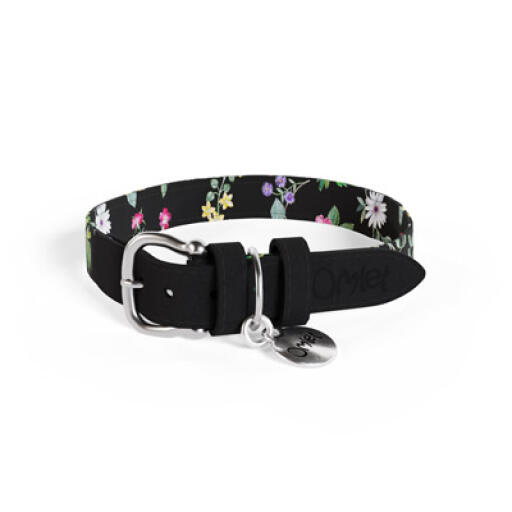Medium midnight meadow designer dog collar