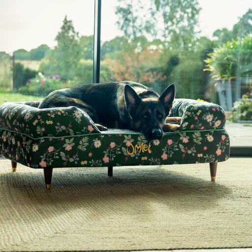 A german shepherd resting in the midnight meadow bolster dog bed