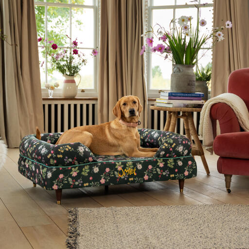 A retriever resting in the midnight meadow bolster dog bed