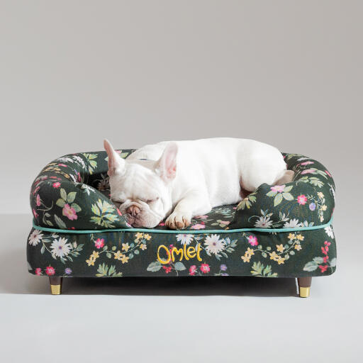 A french bulldog sleeping in the midnight meadow bolster dog bed