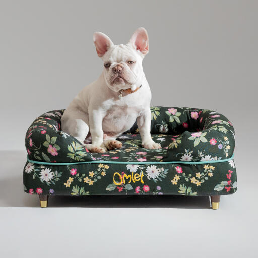 A french bulldog sat in the midnight meadow bolster dog bed