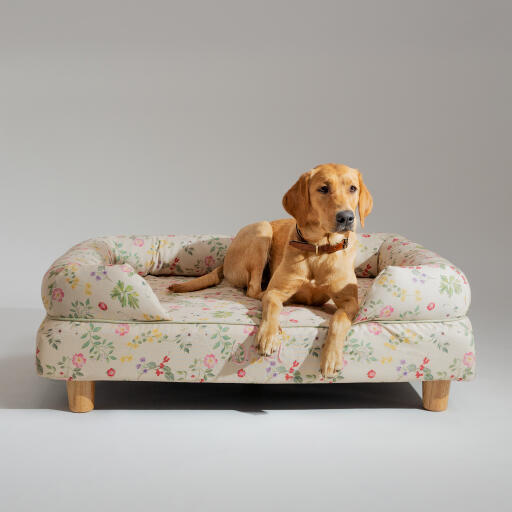 A retriever resting in the morning meadow bolster dog bed