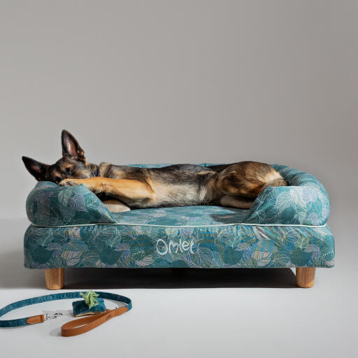 A german shepherd resting in the nature trail bolster dog bed