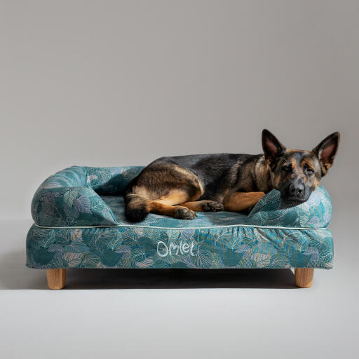 A german shepherd resting in the nature trail bolster dog bed