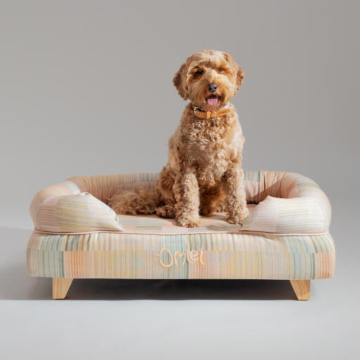 A Goldendoodle sat on top of the pawsteps natural bolster dog bed