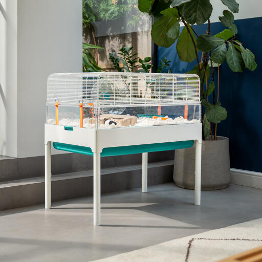 Vision bird cage stand with cabinet on sale