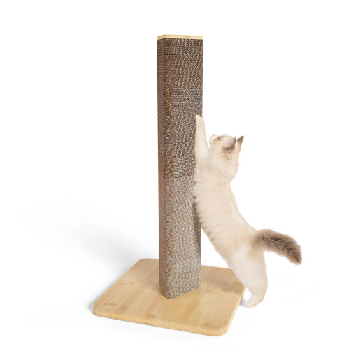 Tall Stak refillable cat scratching post by Omlet