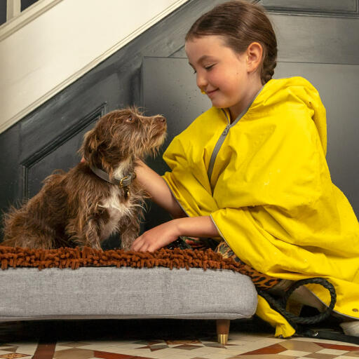 Dog being petted by girl whilst on Omlet Topology dog bed with microfiber topper and brass cap wooden feet