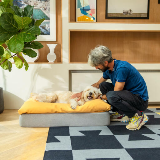 Dog being petted whilst laying on the Omlet Topology dog bed with beanbag topper