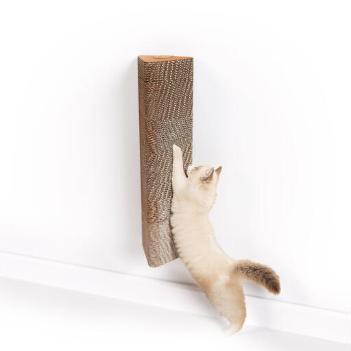 Cat scratching a wall mounted cardboard cat scratcher