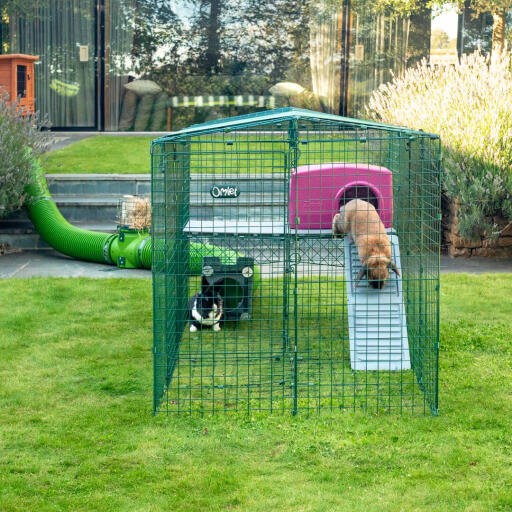 Zippi Rabbit Platforms 2 Panels