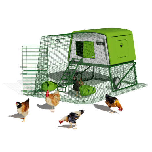 Eglu Cube chicken coop designed by for up to 10 chickens Omlet 