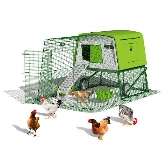 Eglu Cube large portable chicken coop