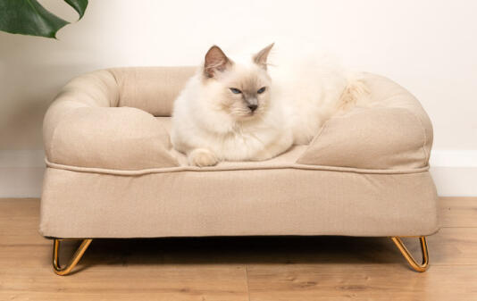 The memory foam will embrace your cat’s body as they lay down on it, ensuring premium comfort.