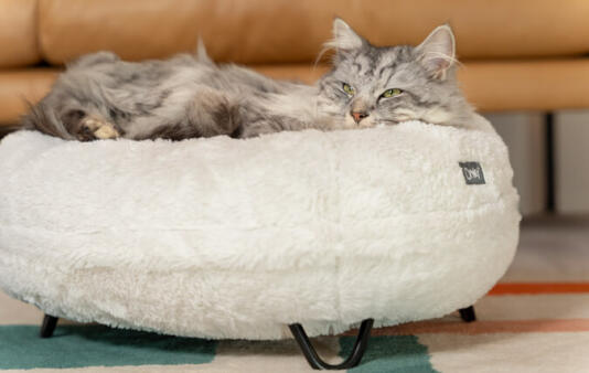 The squishy cushion of this modern cat bed supports your cat’s body for a super cozy feeling.