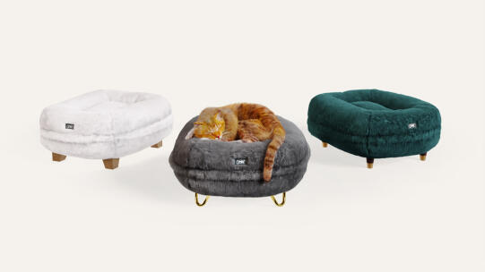 Cat Bed