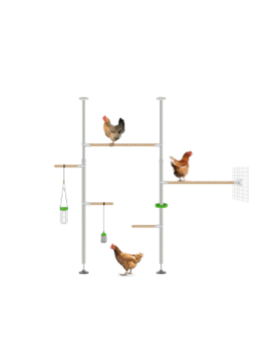 PoleTree Chicken Perch - The Hensemble Kit - 5.5 - 7 ft.
