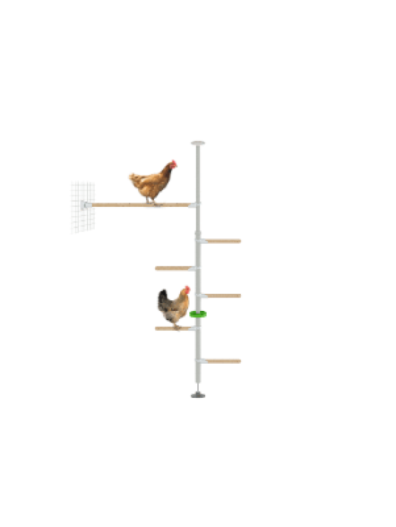 PoleTree Chicken Perch - The Hendurance Kit - 5.5- 7ft.