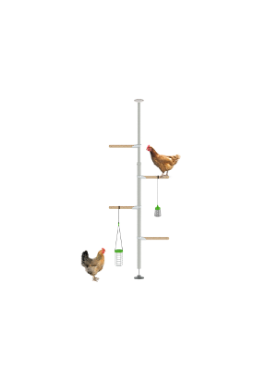 PoleTree Chicken Perch - The Hentertainment Kit - 5.5 - 7 ft.