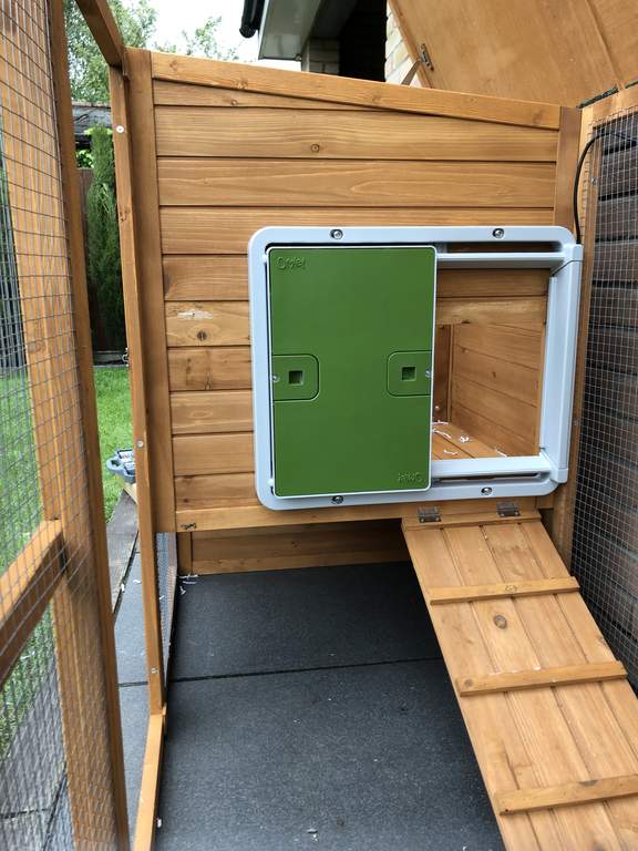 Automatic Chicken Coop Door - Green | New at Omlet | Staff ...