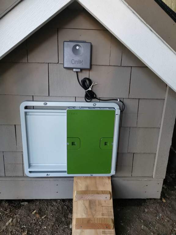 automatic chicken door automatic chicken door