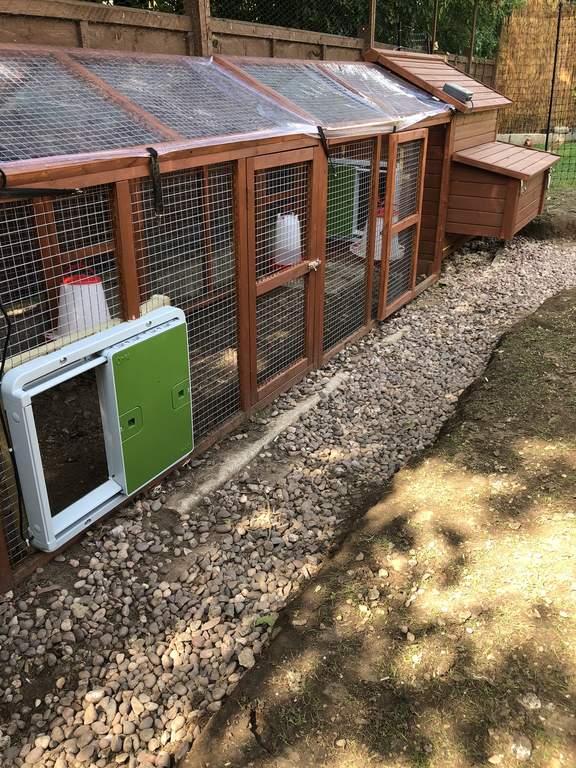 Automatic Chicken Coop Door - Green | New at Omlet | Staff Picks | Omlet