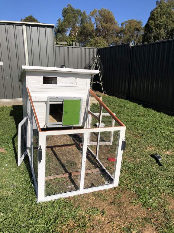 Automatic Chicken Coop Door Green New at Omlet Staff Picks Omlet