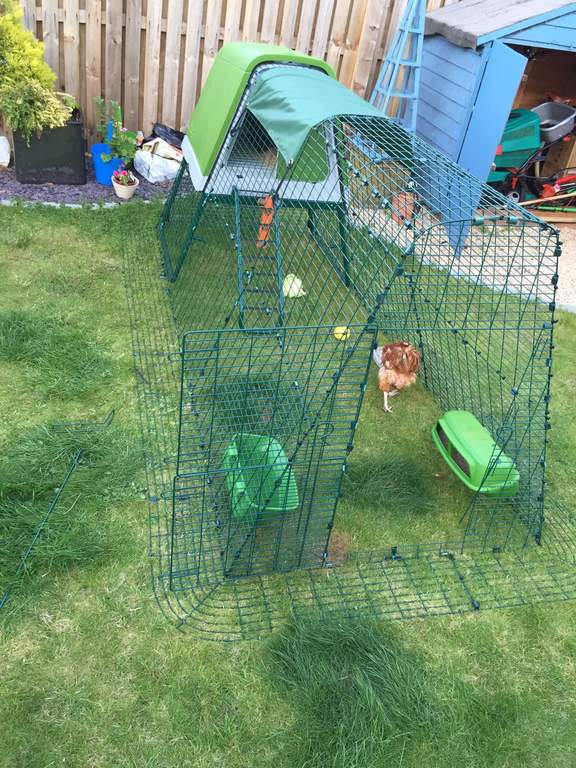 Eglu Go Up 3ft Run Extension