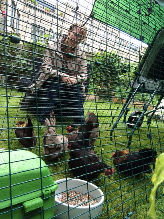 Eglu Go UP Chicken Coop Wheel Set Eglu Spares 