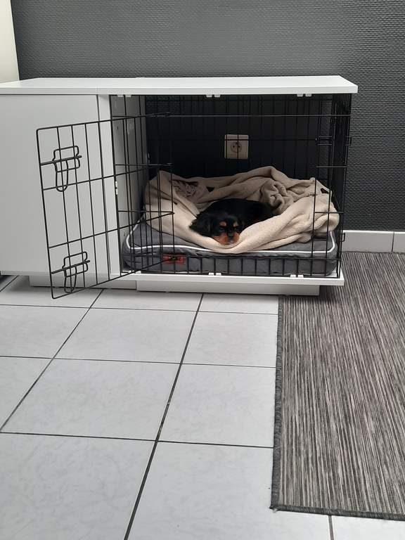 omlet dog crate review