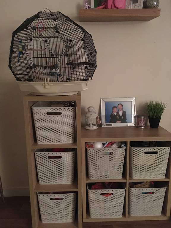 Geo Bird Cage Cream and Black New at Omlet Staff Picks Omlet