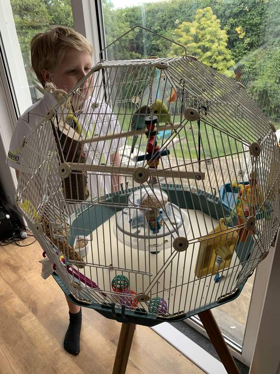 Geo Bird Cage Teal and White Black Friday Black Friday Omlet