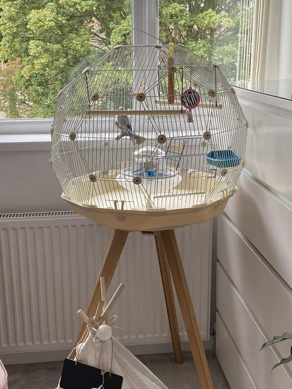 Geo Bird Cage Cream and White Black Friday Black Friday Omlet