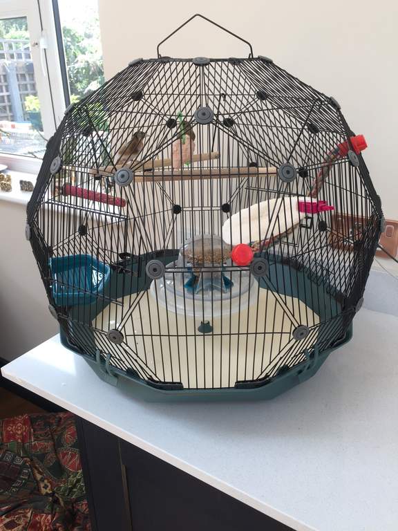 Large Disposable Bird Cage Liners 34x22 Inches - 30 Pack Plastic Tray Covers For Parakeets, Canaries, Cockatiels