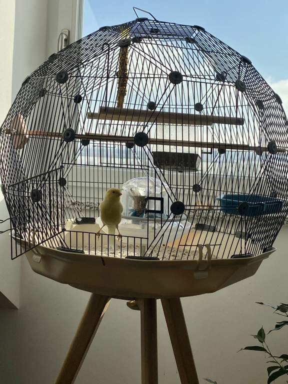 Geo Bird Cage Cream and Black Black Friday Black Friday Omlet