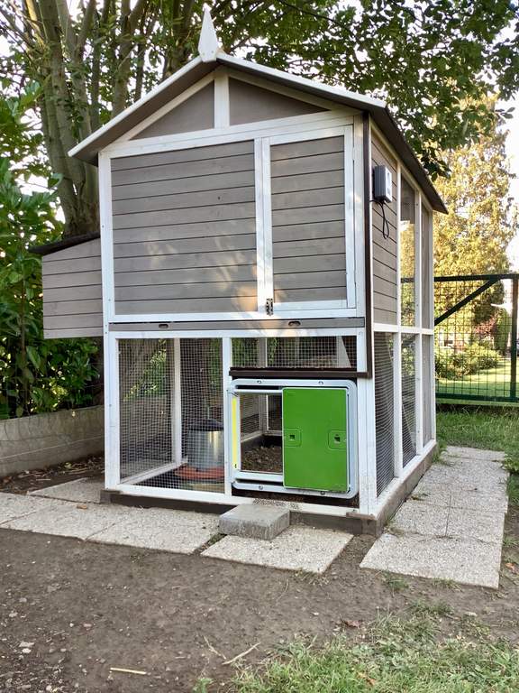 Automatic Chicken Coop Door Green New at Omlet Staff Picks Omlet