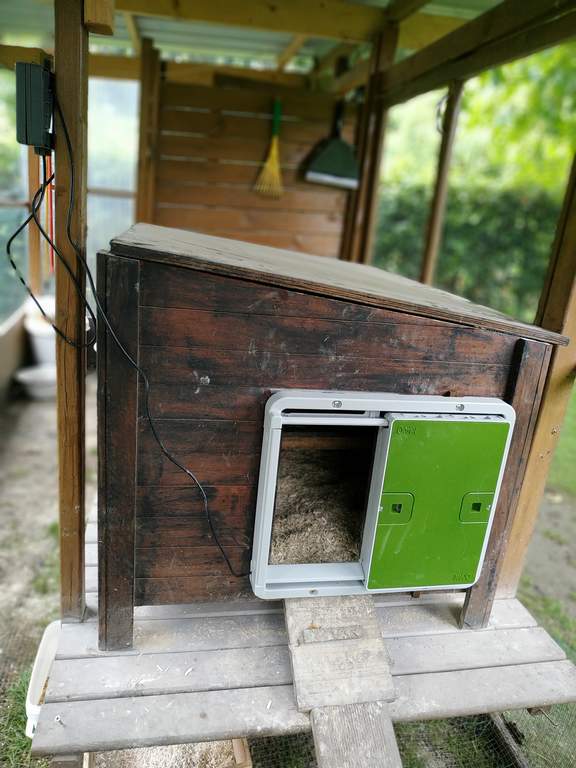 Automatic Chicken Coop Door Green New at Omlet Staff Picks Omlet