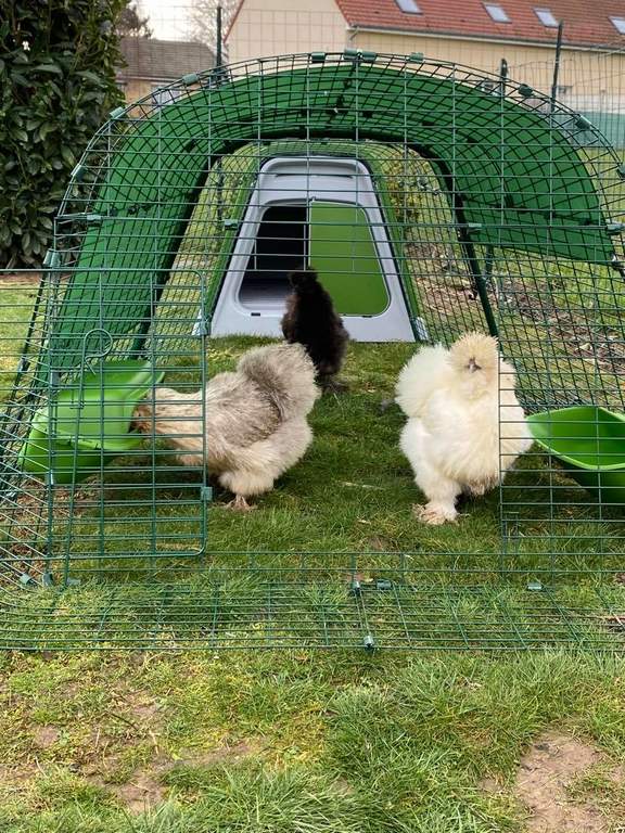 Eglu Go Chicken Coop with 6ft Run Package - Leaf Green  Black Friday