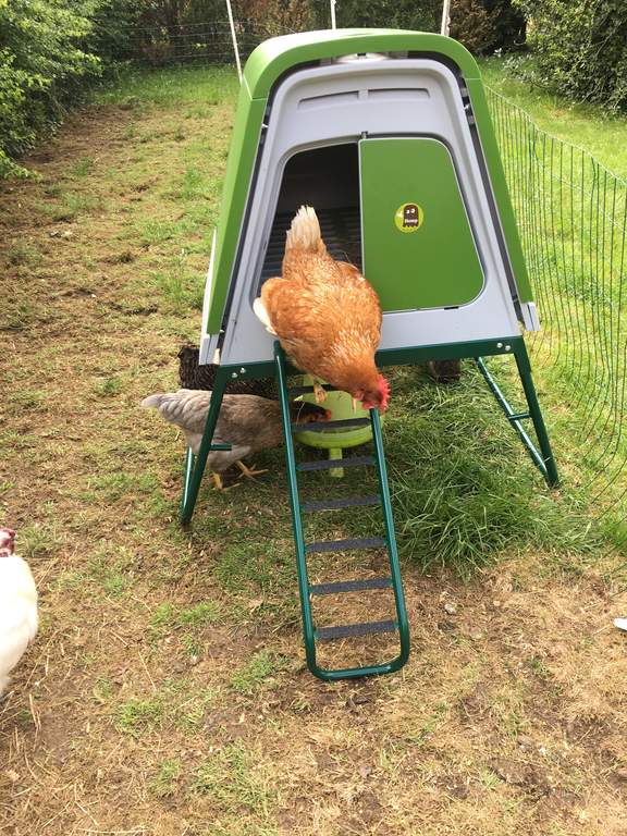 Eglu Go UP Chicken Coop Frame and Ladder Eglu Spares & Accessories