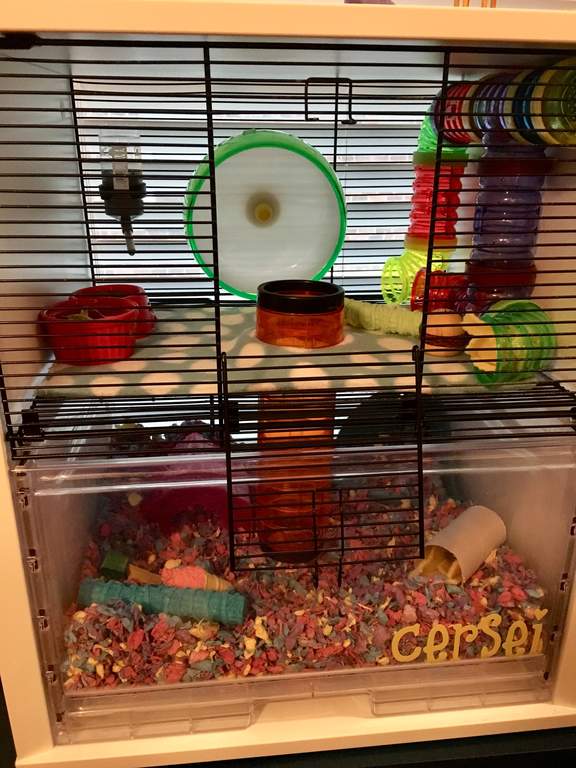 omlet white qute gerbil and hamster cage with storage