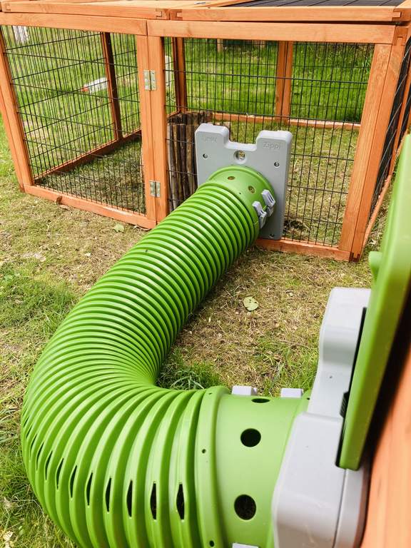 Zippi Tunnel Single with Hutch to Run Connection Kit Zippi Rabbit