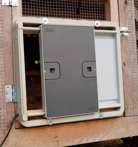 Detail of a grey Autodoor fixed to a wooden coop