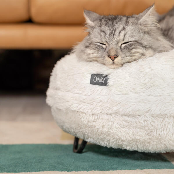 Cat Beds